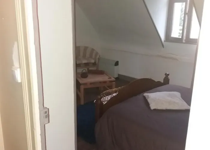 Les Roches Guest house 3*